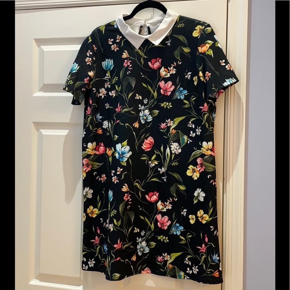 Zara Floral Print Dress
